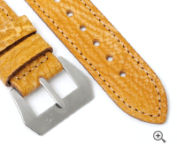 Pre-V by Mario Paci Sand Shark of the 90's